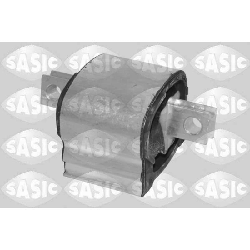 SASIC variklio montavimas 2700239
