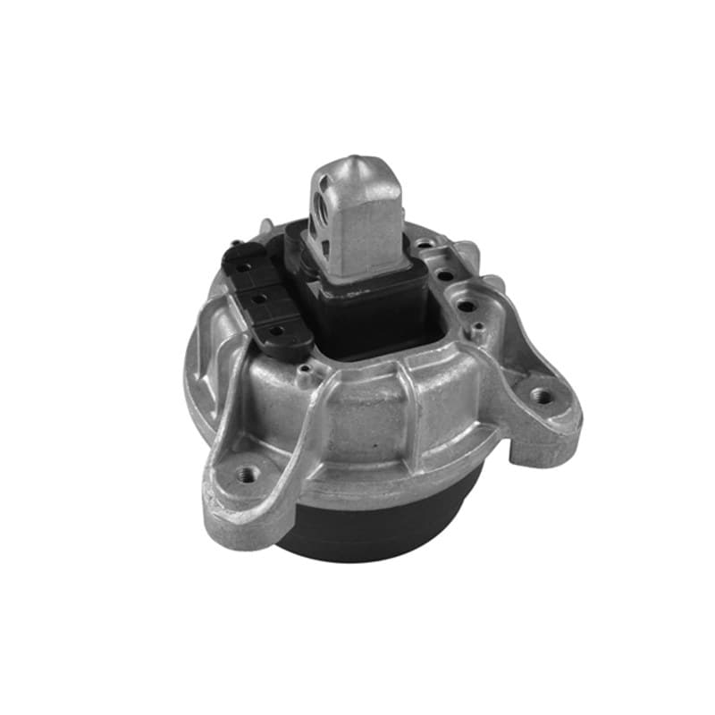 TEDGUM variklio montavimas TED97318