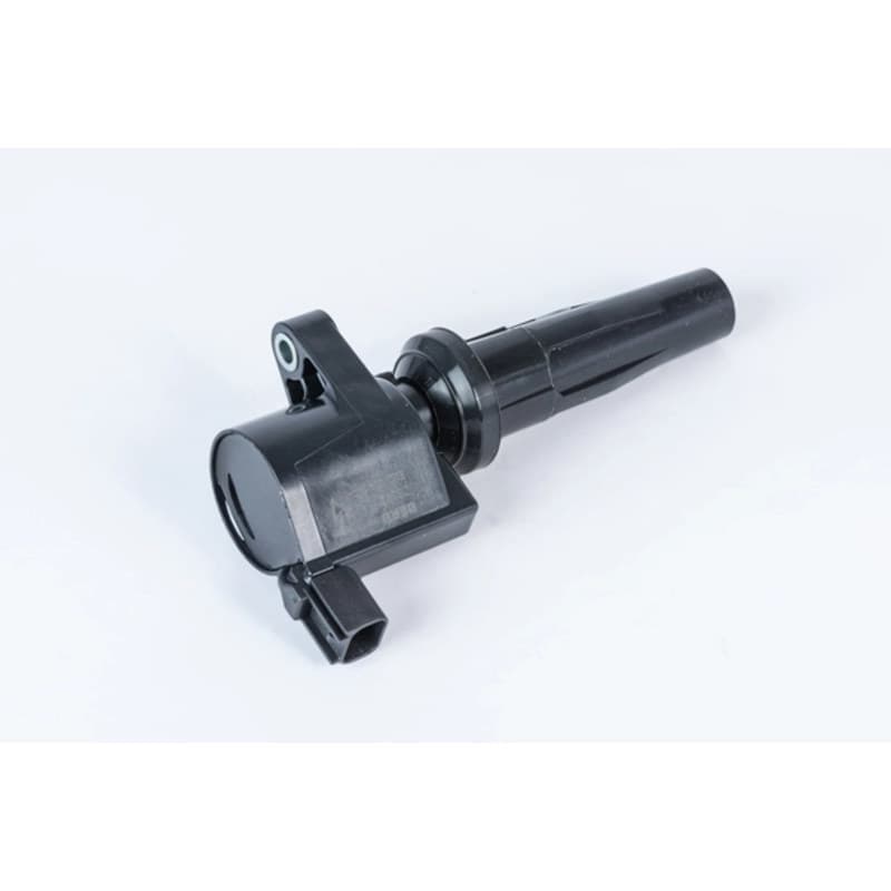 BORGWARNERBERU ritė, uždegimas ZS592