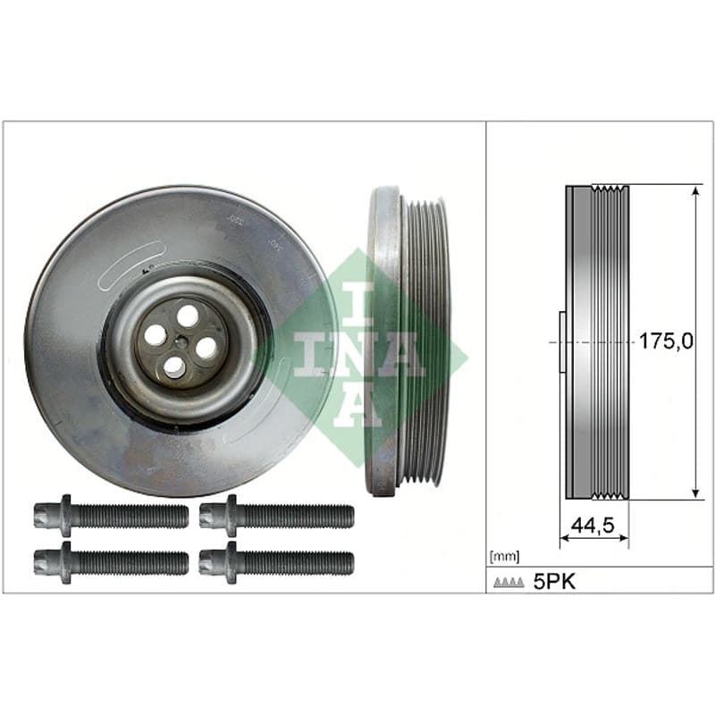 SCHAEFFLERINA alkūninio veleno skriemulių rinkinys 544 0604 20
