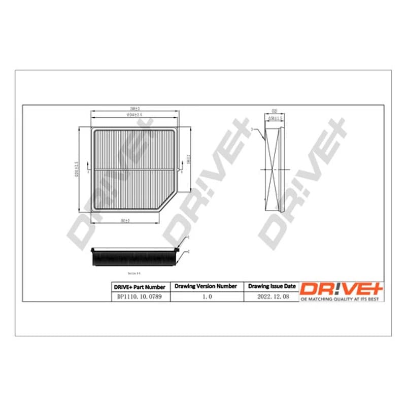 DRVE oro filtras DP1110.10.0789