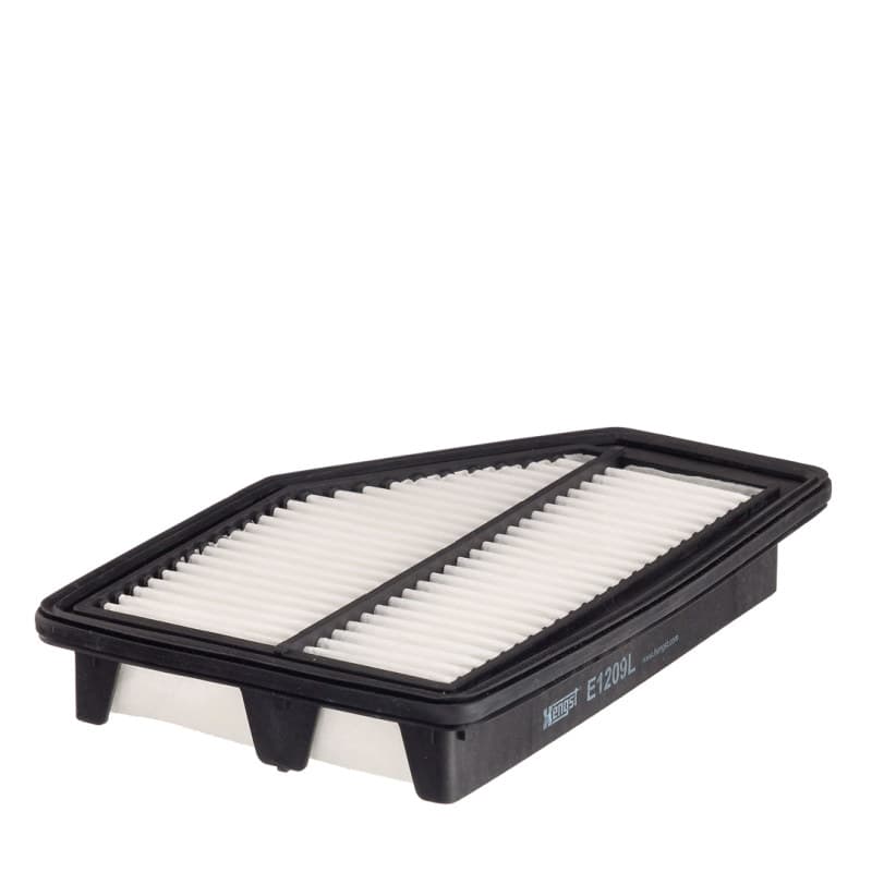 HENGSTFILTER oro filtras E1209L
