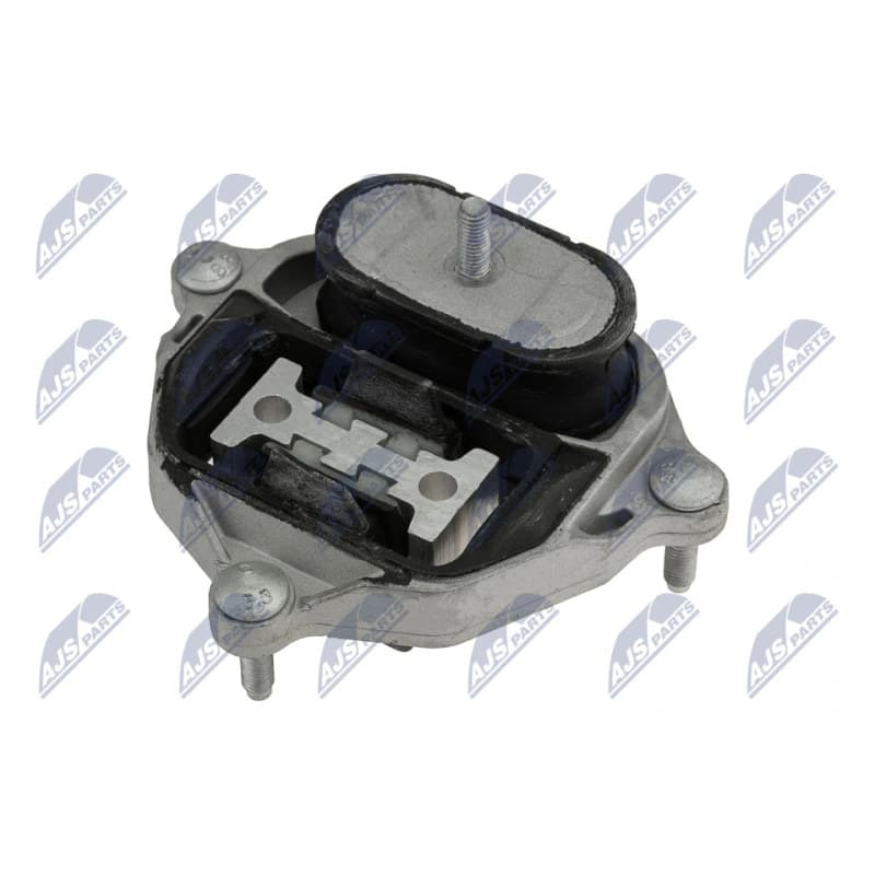 NTY montavimas, automatinė transmisija ZPS-AU-001