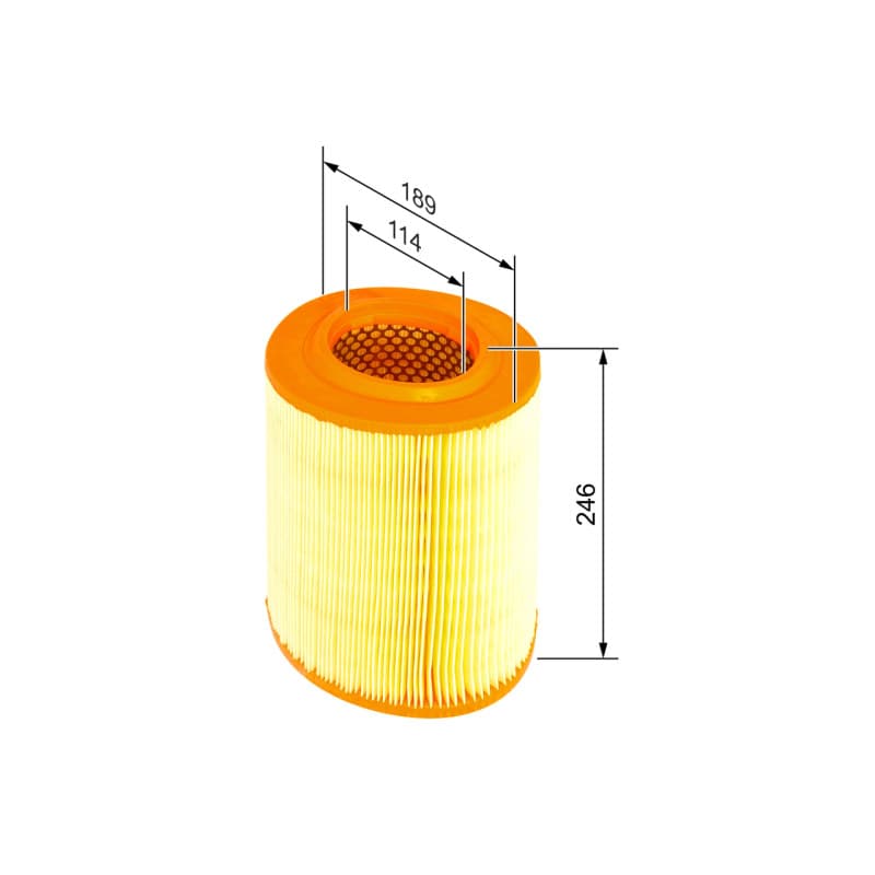 BOSCH F 026 400 039 oro filtras