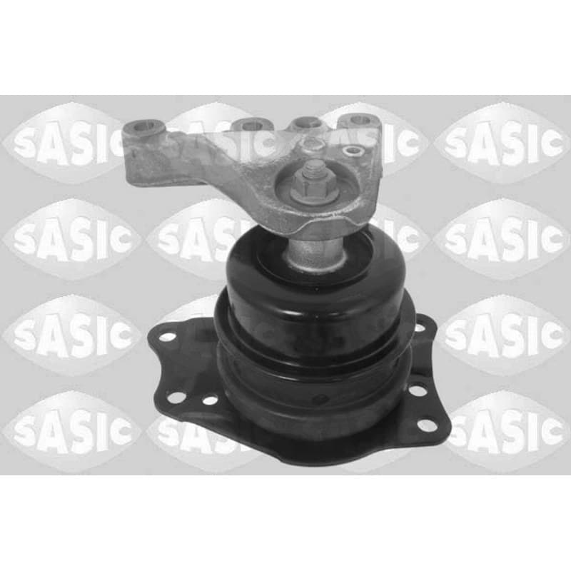 SASIC variklio montavimas 2706104