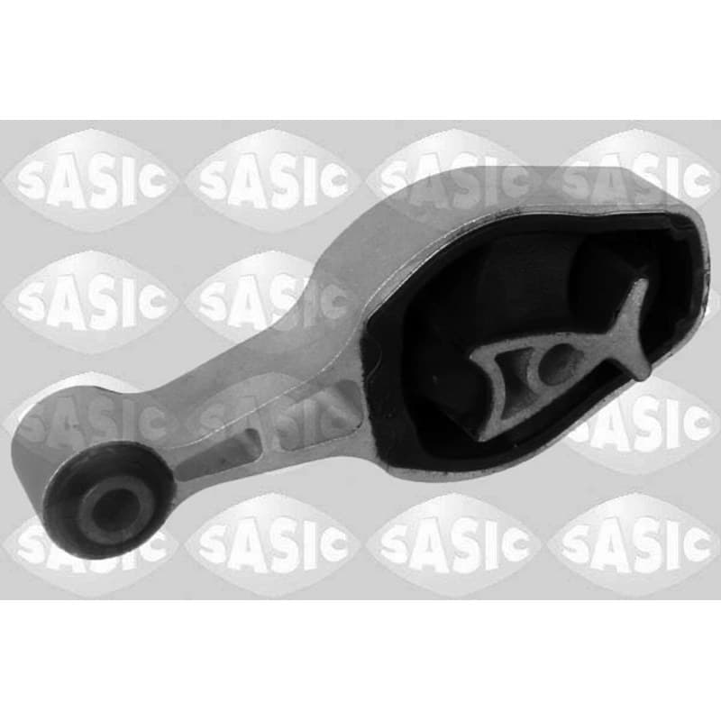 SASIC variklio montavimas 2700081