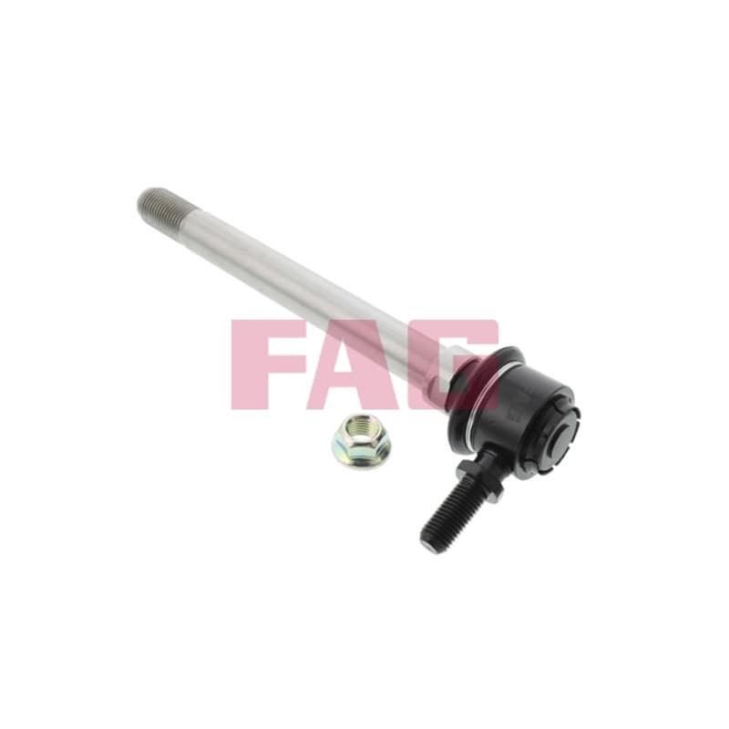 SCHAEFFLERFAG 818 0125 10 šarnyro stabilizatorius