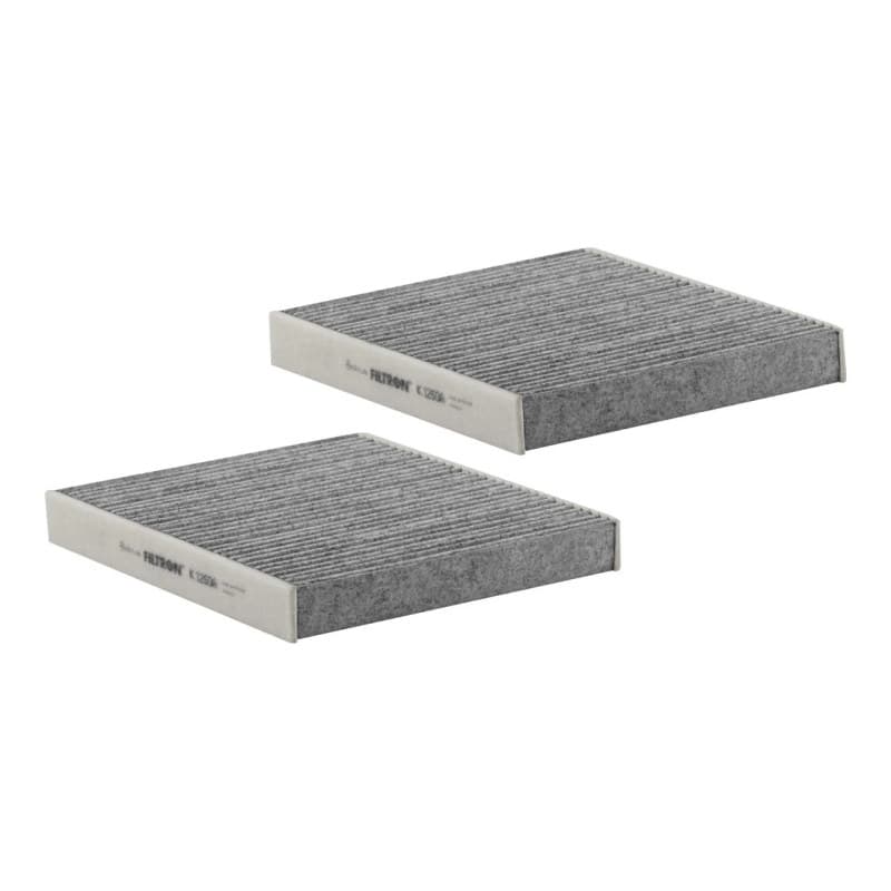 FILTRON Filtras, salono oras K 1260A-2x