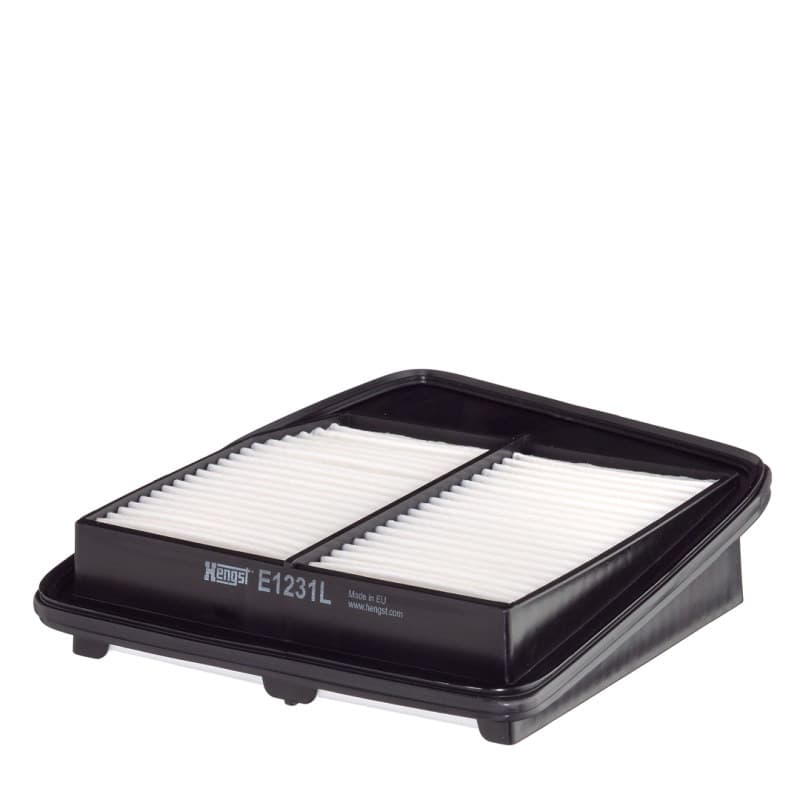 HENGSTFILTER oro filtras E1231L