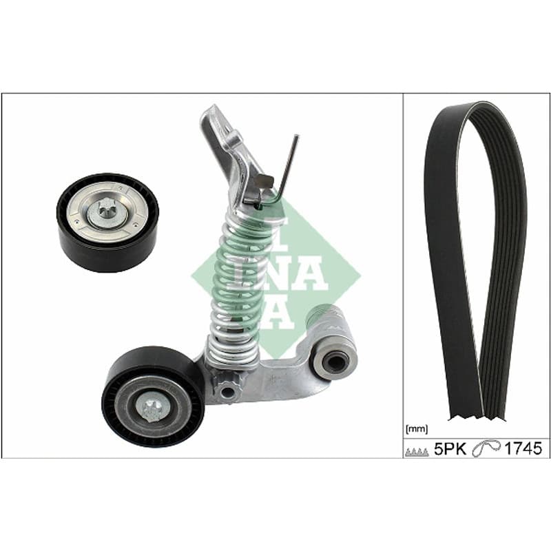 SCHAEFFLERINA V formos rumbuotas diržas, komplektas 529 0319 10