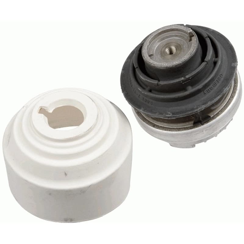 LEMFRDER variklio montavimas 29756 01