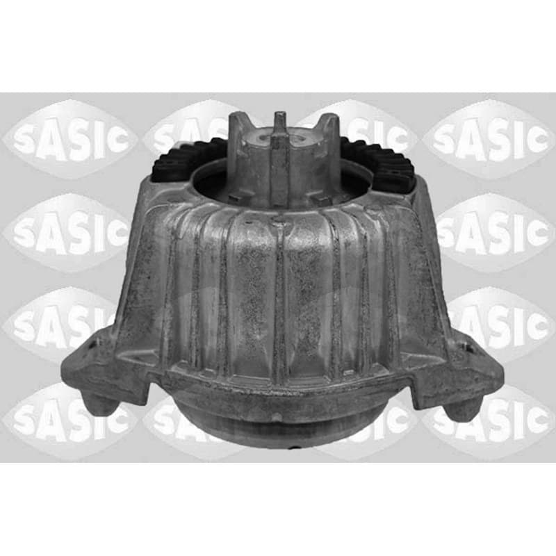 SASIC variklio montavimas 2706330