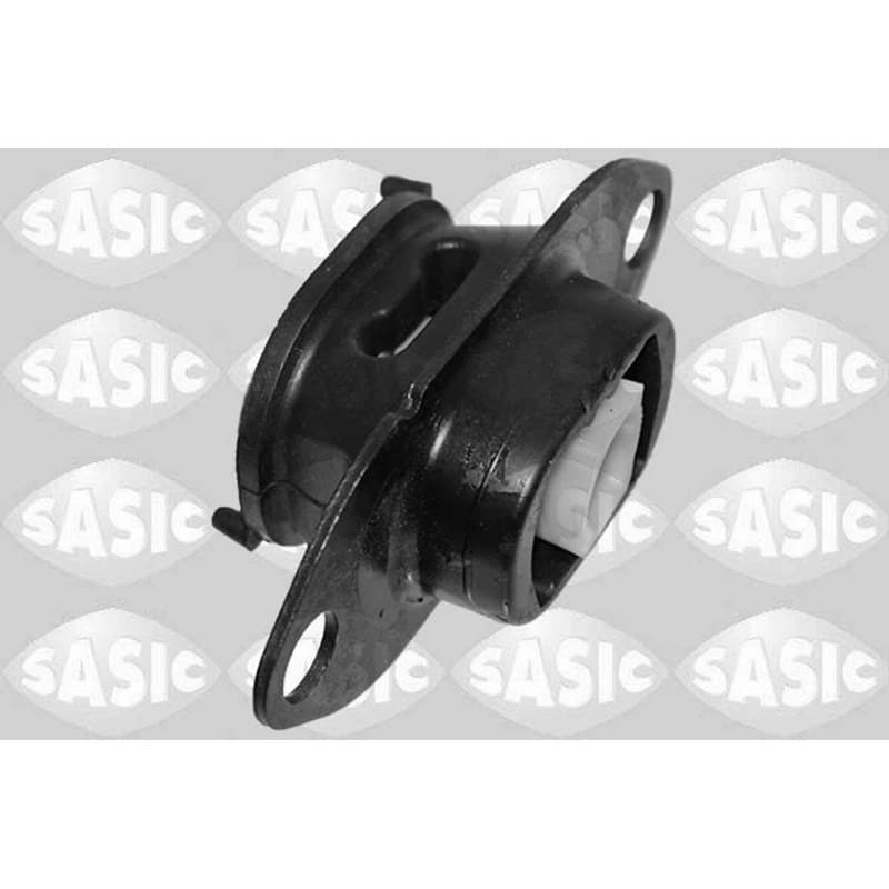 SASIC variklio montavimas 2704126