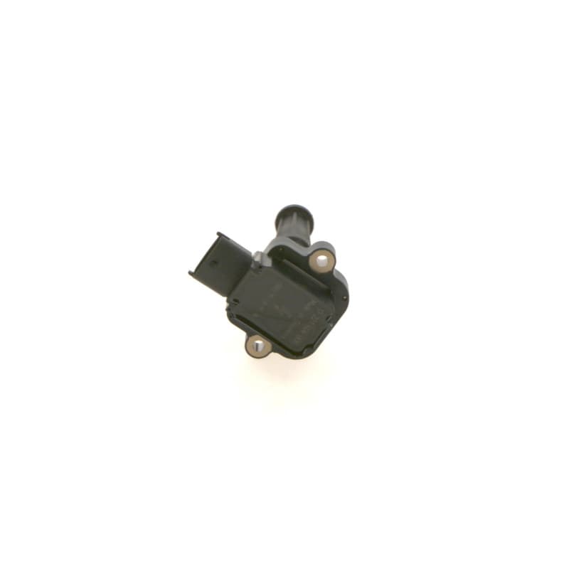 BOSCH 0 221 604 006 ritė, uždegimas