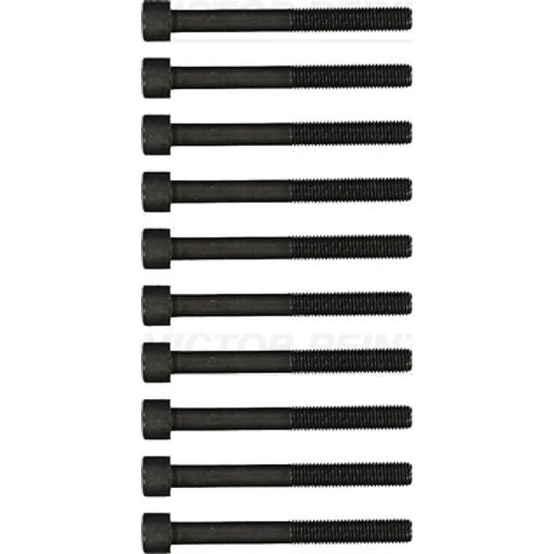 VICTORREINZ varžtų kompl., cil. galvutės varžtai 14-32184-01