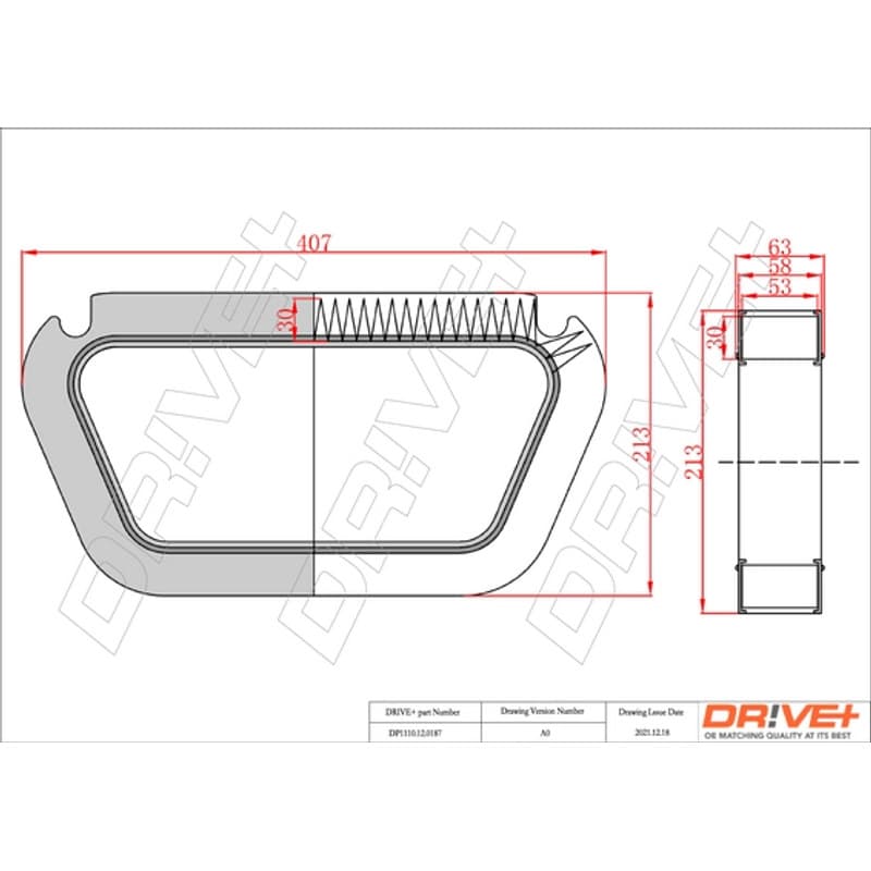 DRVE DP1110.12.0187 filtras, salono oras