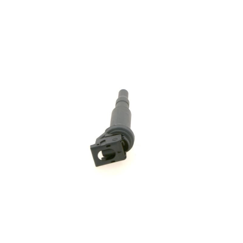 BOSCH 0 221 504 465 ritė, uždegimas