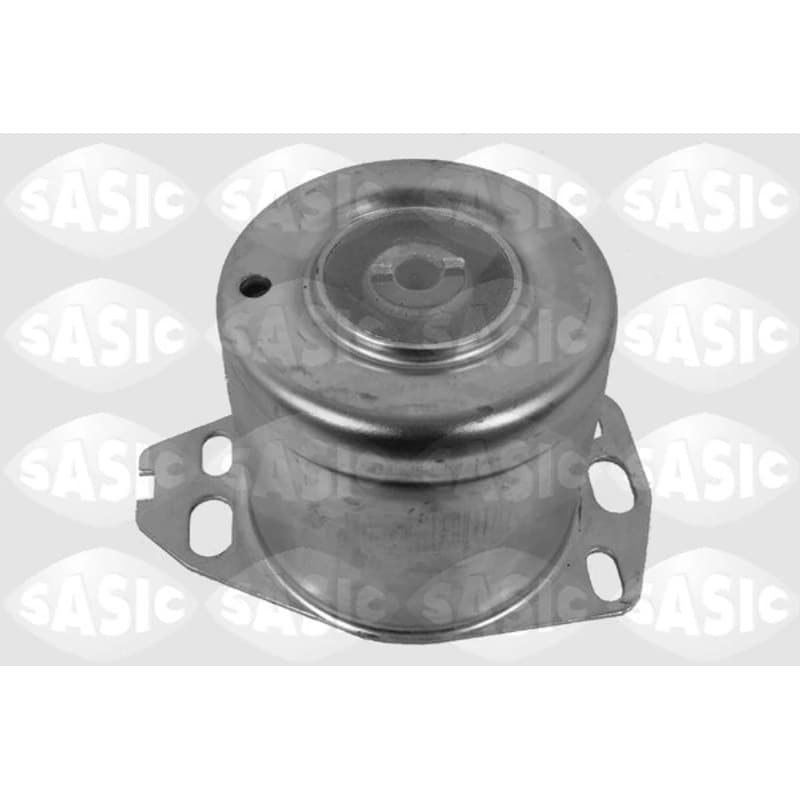 SASIC variklio montavimas 9002421