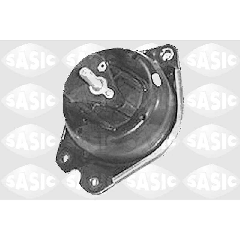 SASIC variklio montavimas 4001833
