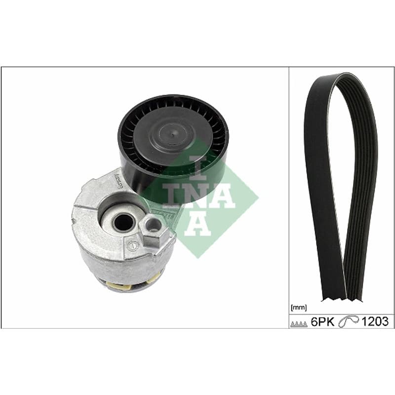 SCHAEFFLERINA V formos rumbuotas diržas, komplektas 529 0009 10