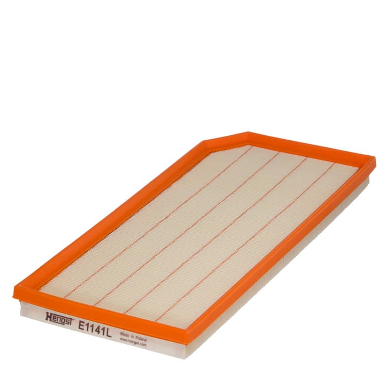 HENGSTFILTER Oro filtras E1141L