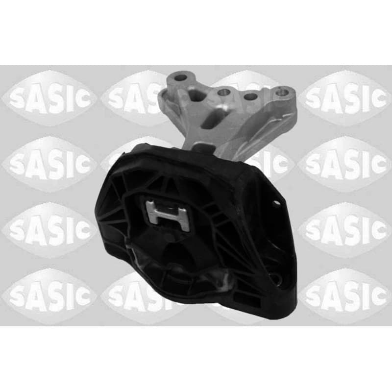 SASIC variklio montavimas 2700078
