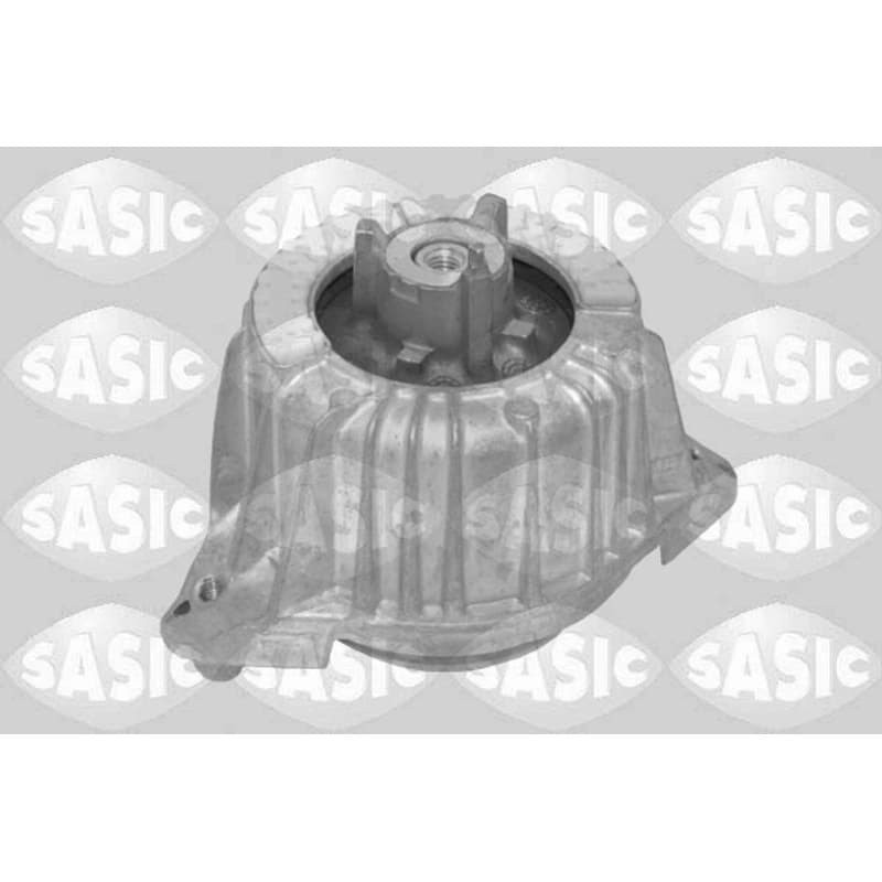 SASIC variklio montavimas 2706723