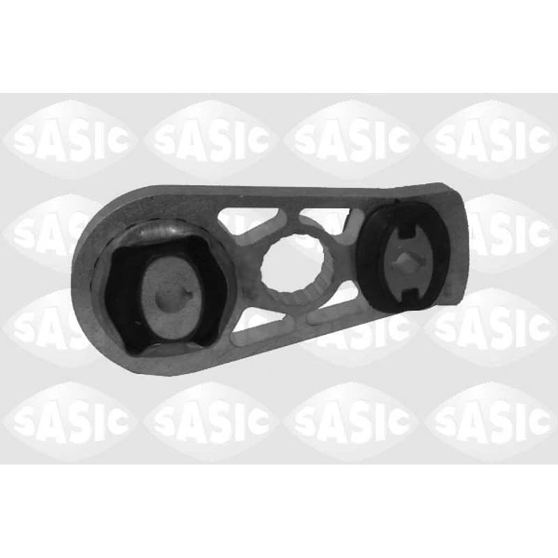 SASIC Variklio montavimas 2704022