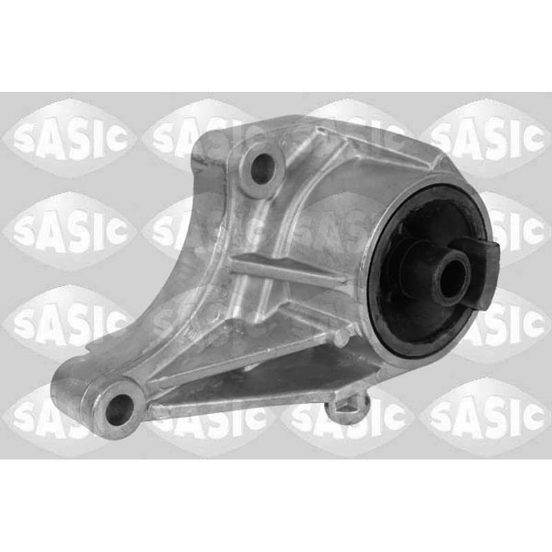 SASIC variklio montavimas 2706223
