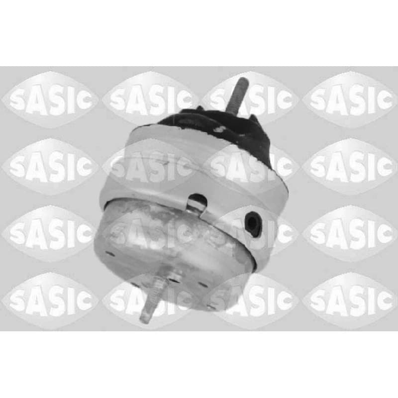 SASIC Variklio montavimas 2706149