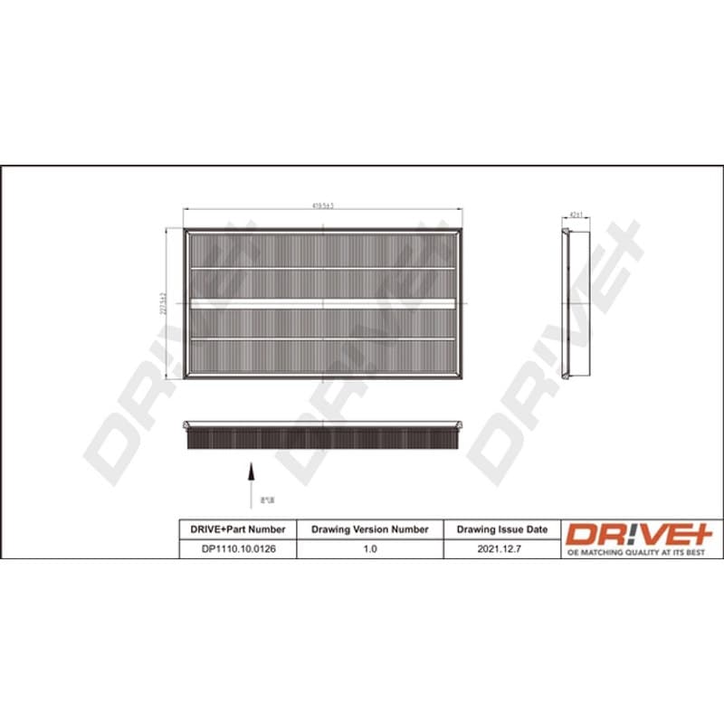 DRVE oro filtras DP1110.10.0126