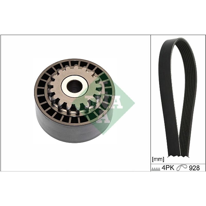 SCHAEFFLERINA V formos rumbuotas diržas, komplektas 529 0100 10