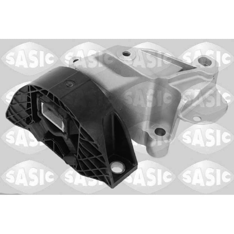 SASIC variklio montavimas 2704121