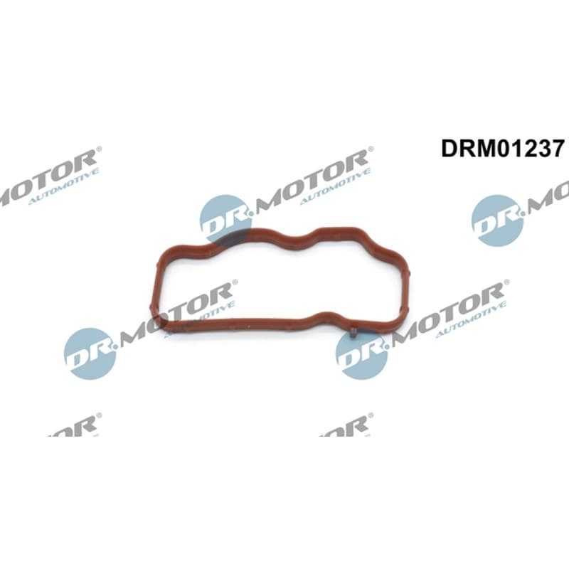 DRMOTORAUTOMOTIVE tarpiklis, įsiurbimo kolektorius DRM01237