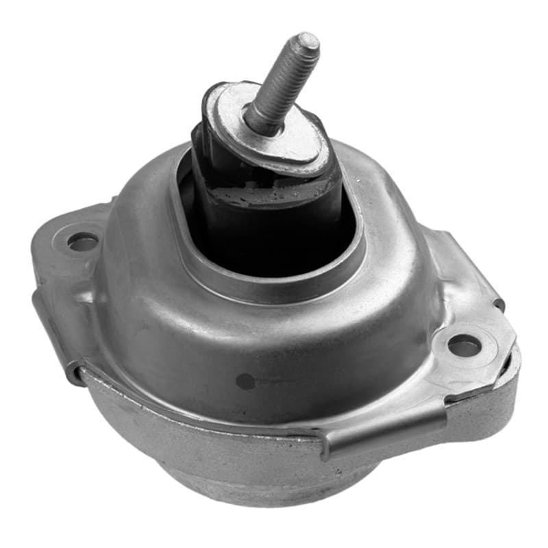 LEMFRDER variklio montavimas 36325 01