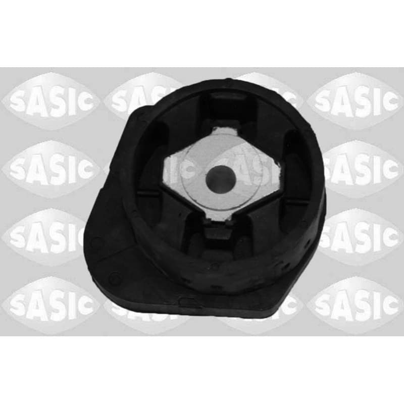 SASIC variklio montavimas 2706200