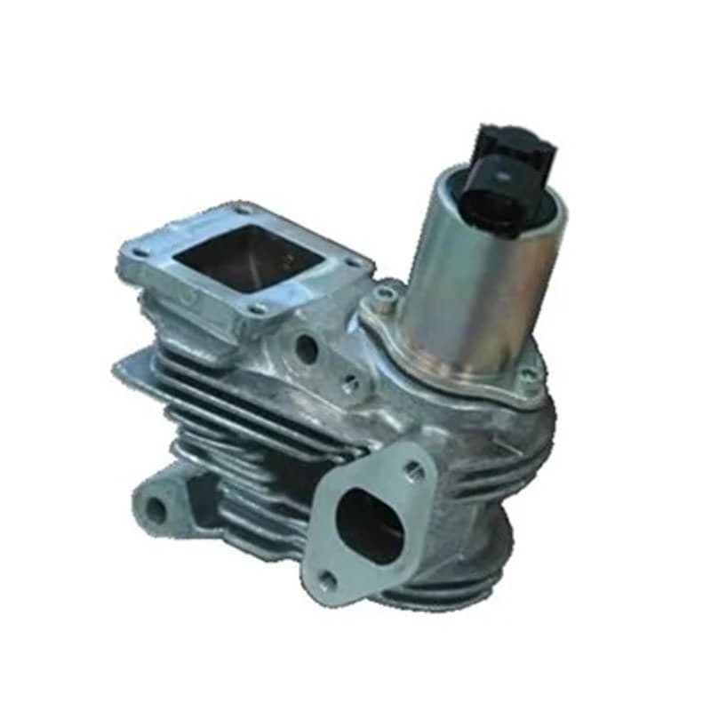 MAGNETIMARELLI ERG vožtuvas 571822112044