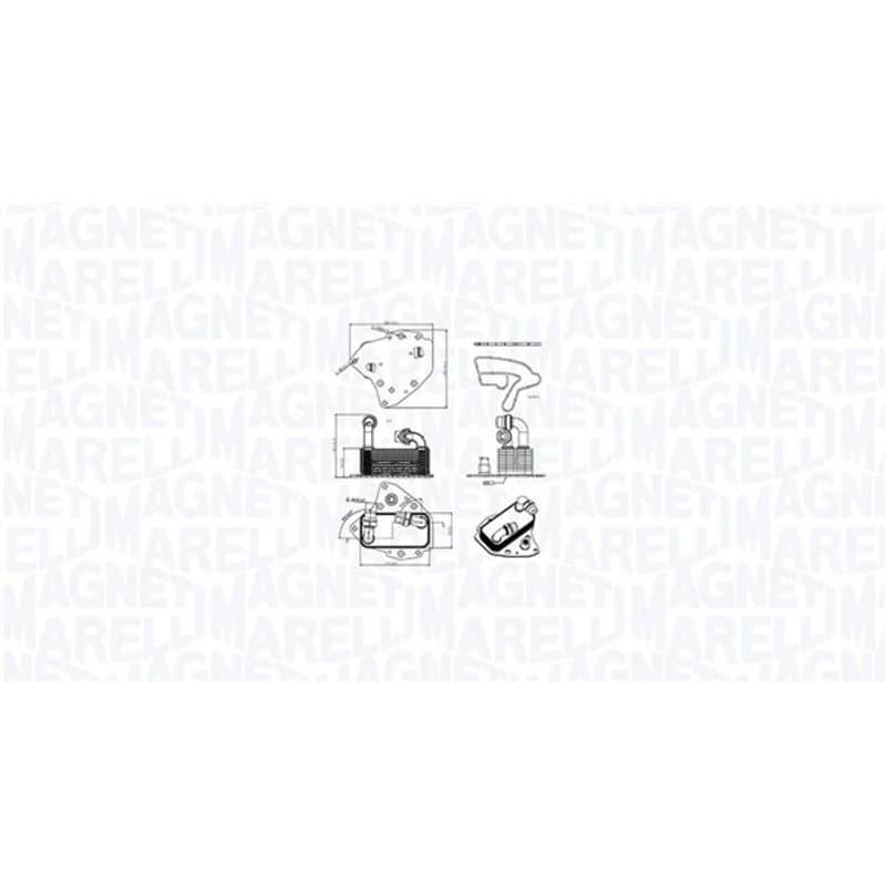 MAGNETIMARELLI alyvos aušintuvas, variklio alyva 350300000600