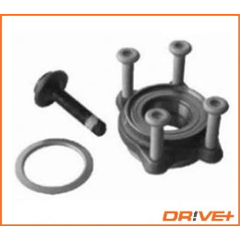 DRVE DP2010.10.0298 rato guolio komplektas