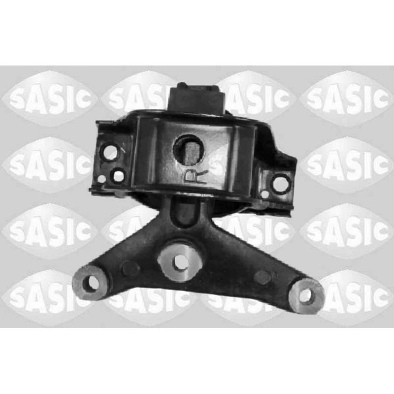 SASIC variklio montavimas 2700084