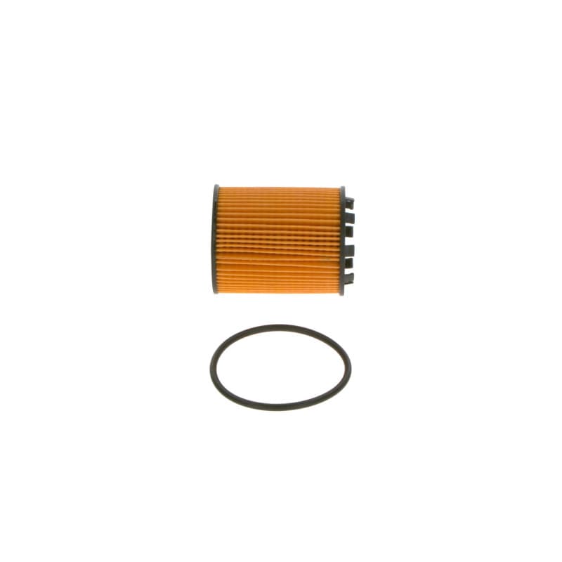 BOSCH 1 457 429 256 alyvos filtras