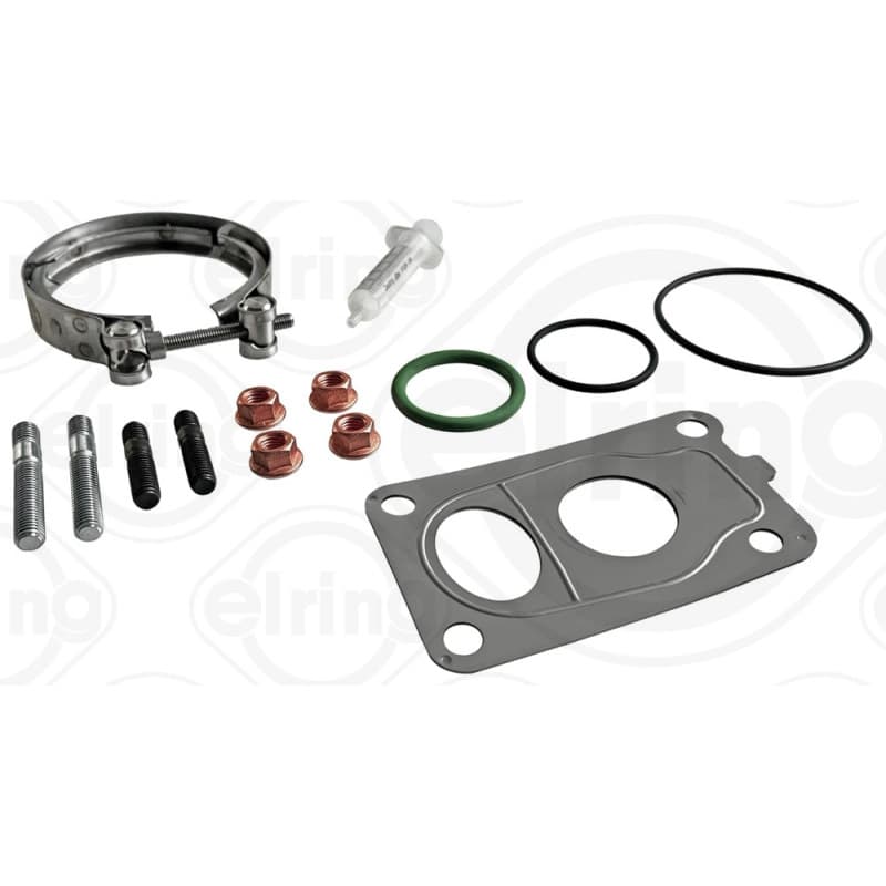 ELRING remonto rinkinys, guolis B18.650