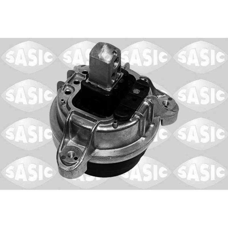 SASIC Variklio montavimas 2706490