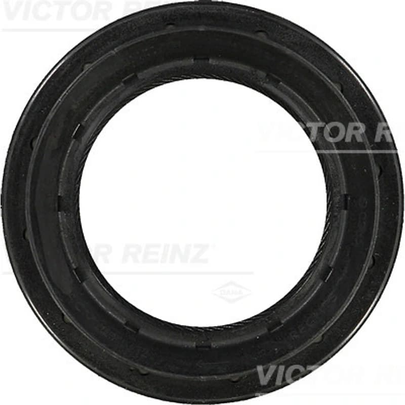 VICTORREINZ 81-29412-00 veleno sandariklis, diferencialas
