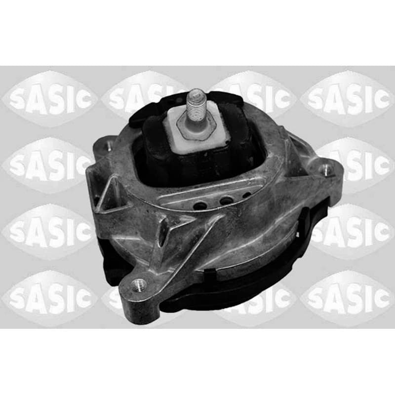 SASIC variklio montavimas 2706319