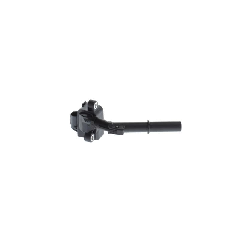 BOSCH 0 221 604 067 ritė, uždegimas