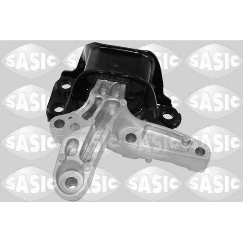 SASIC variklio montavimas 2704116