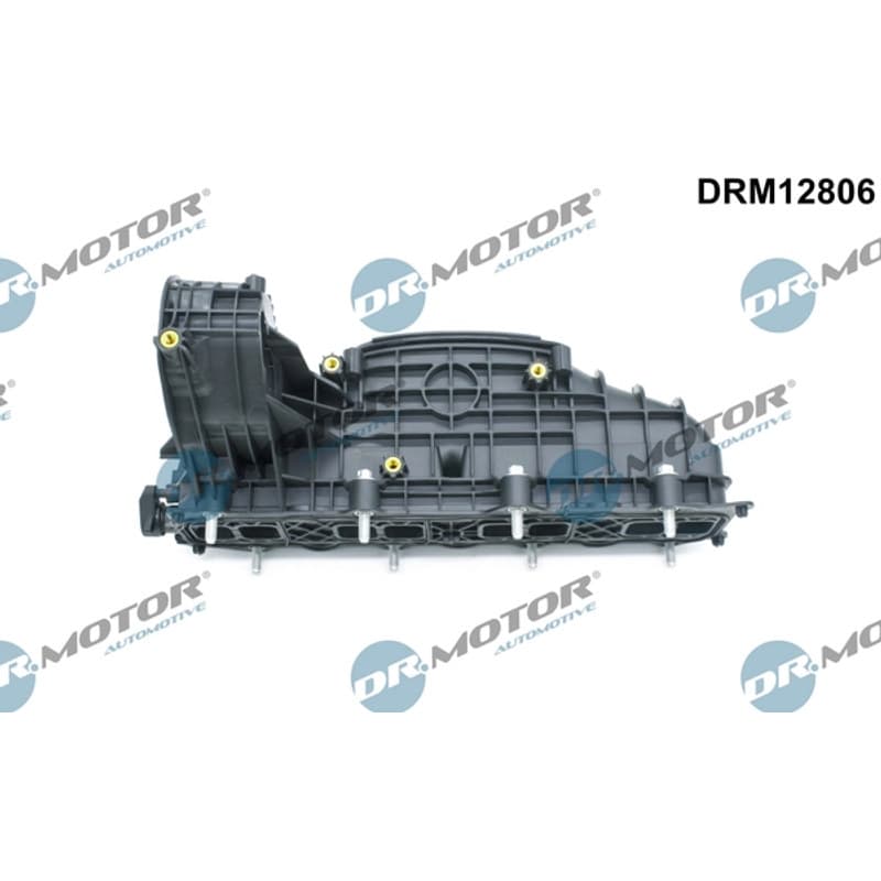 DRMOTORAUTOMOTIVE įsiurbimo kolektoriaus modulis DRM12806