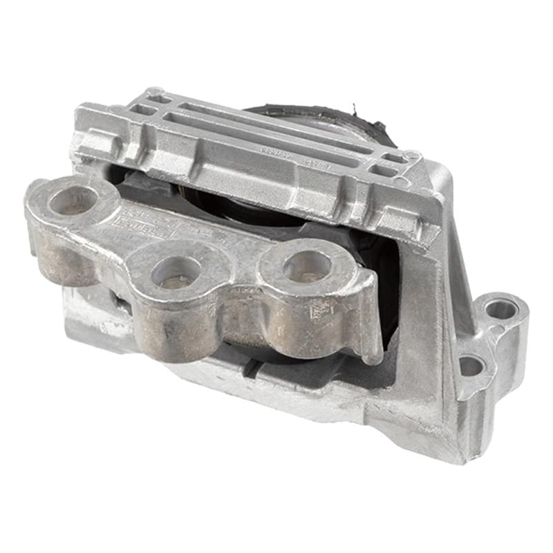 LEMFRDER Variklio montavimas 43136 01