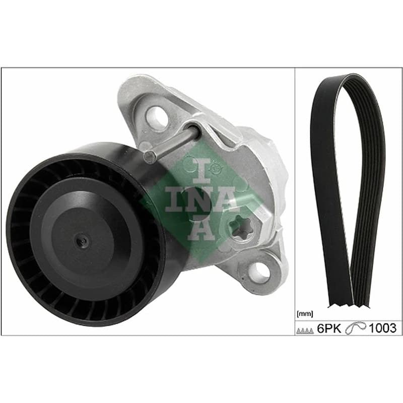 SCHAEFFLERINA V formos rumbuotas diržas, komplektas 529 0208 10